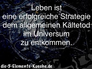 5-Elemente-Leben