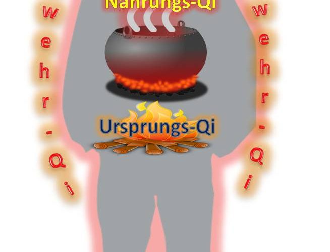 Qi